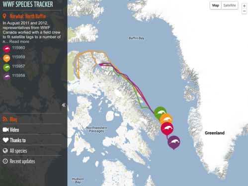 World Wildlife Fund's Narwhal Tracker From 2011 And 2012